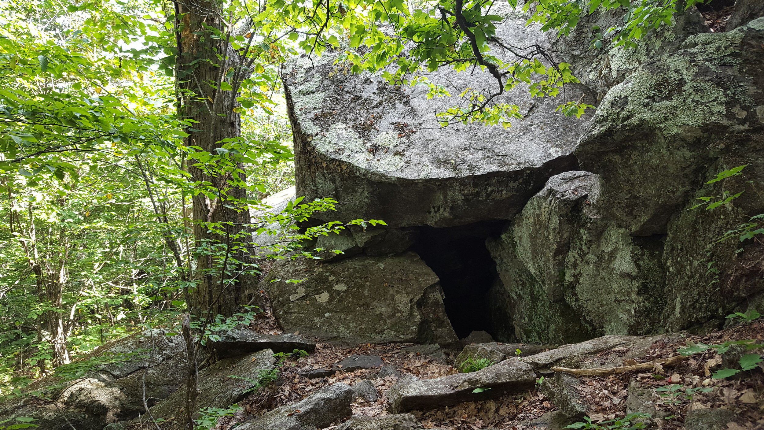 The cave