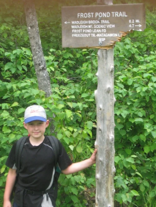 Trail sign scratched apart by a bear