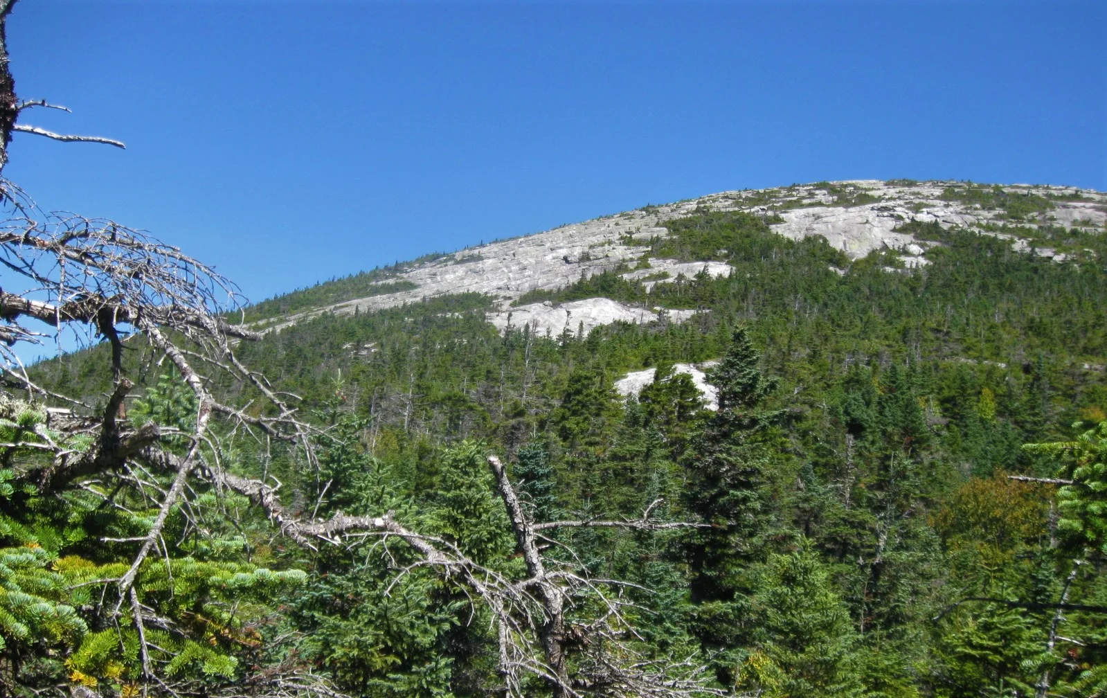A view of the ledges the AT climbs to reach East Baldpate’s summit.