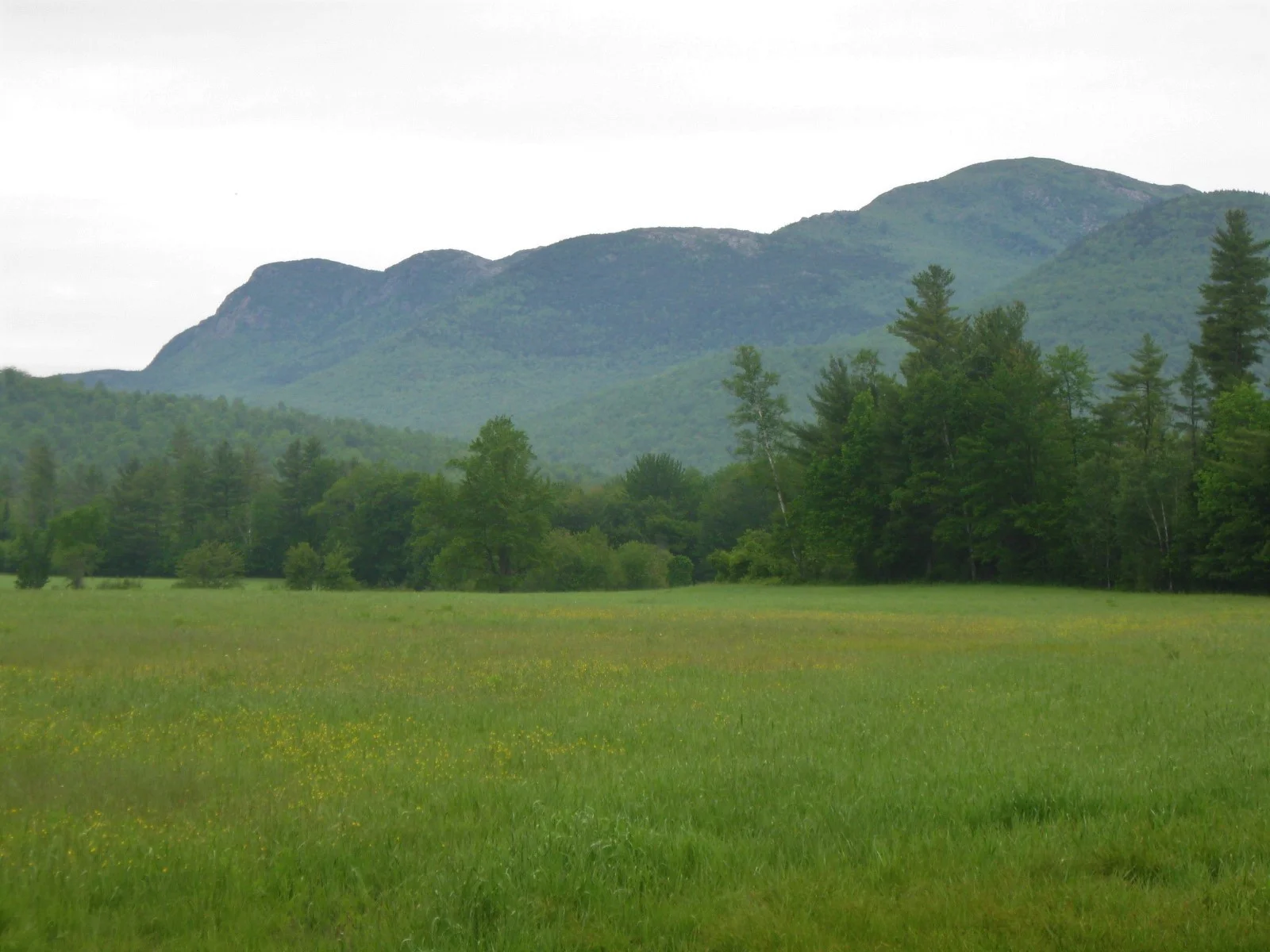 Tumbledown (far left) and Little Jackson (R) from near Webb Lake