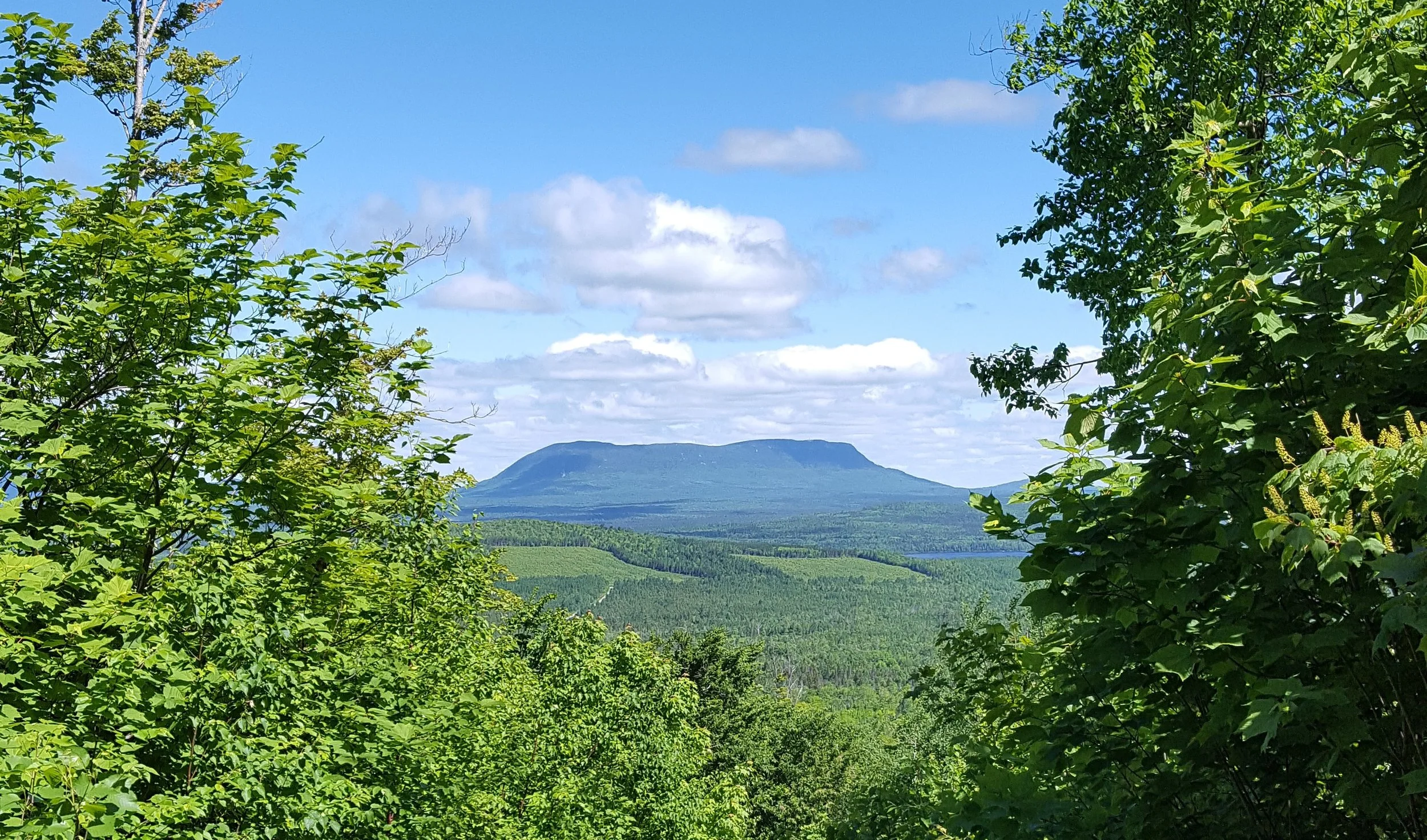 Big Spencer Mountain from Number Four Mountain