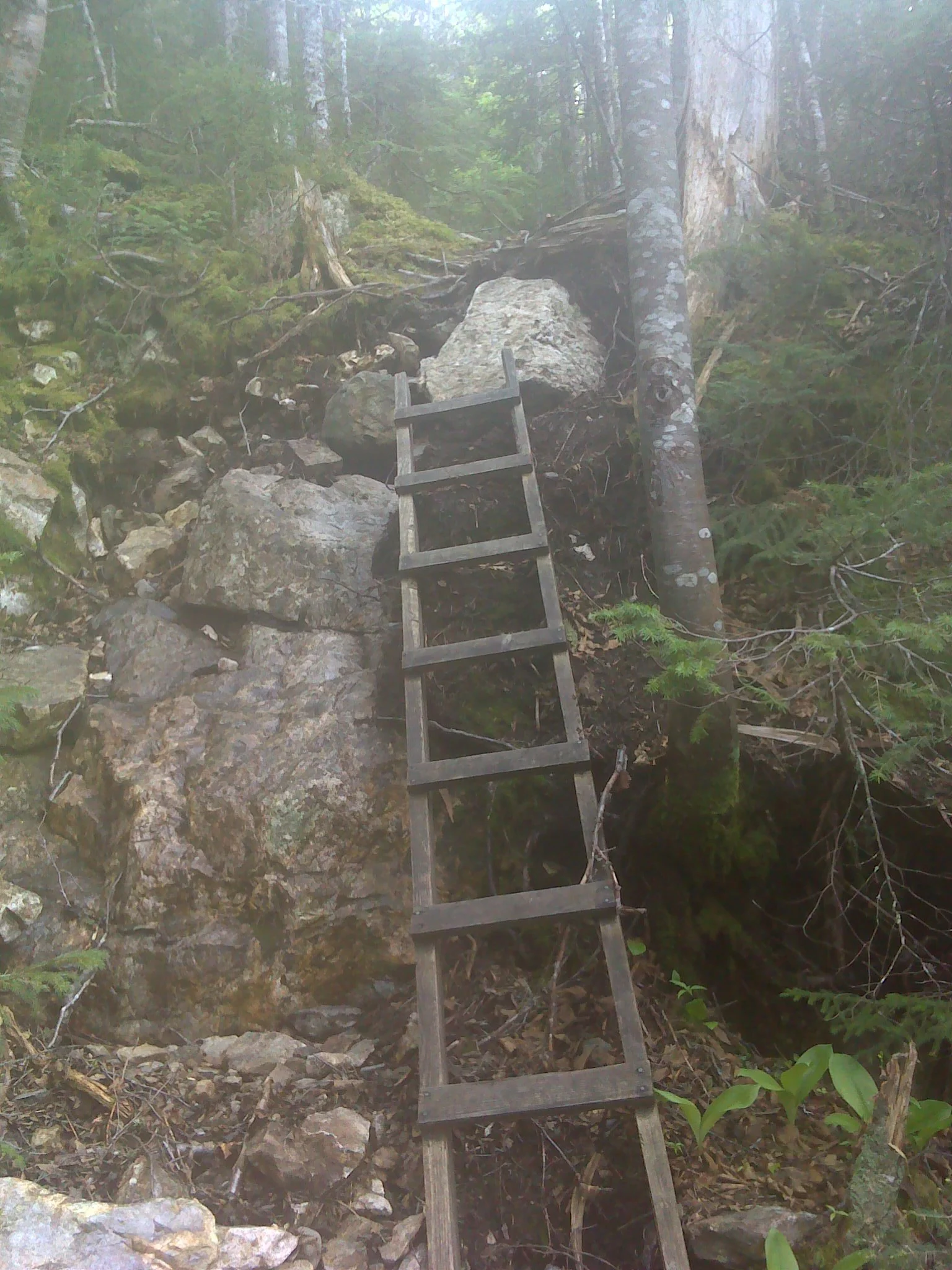 One of the ladders on a foggy day