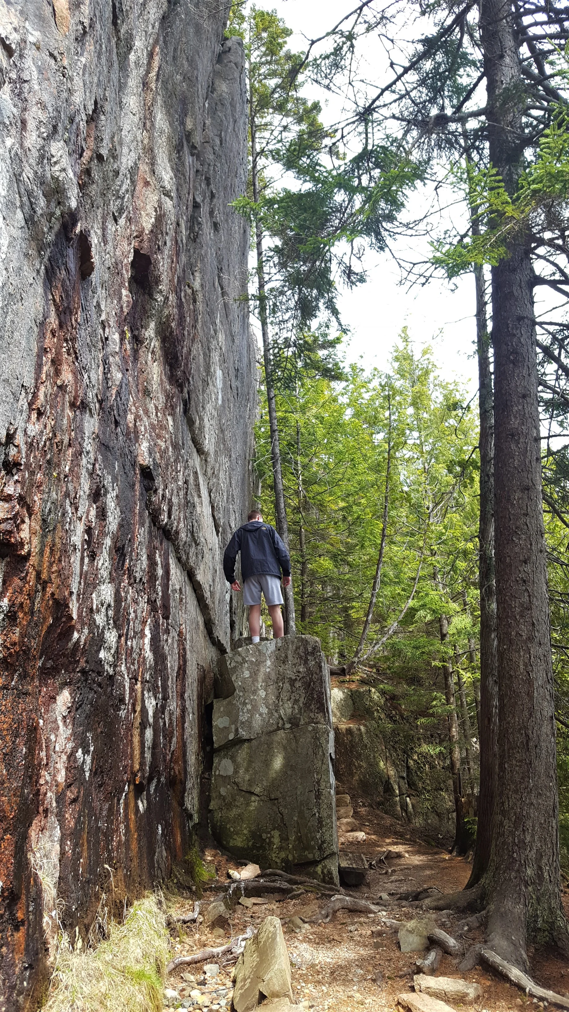 The trail goes around the rock, but Henry couldn’t help himself