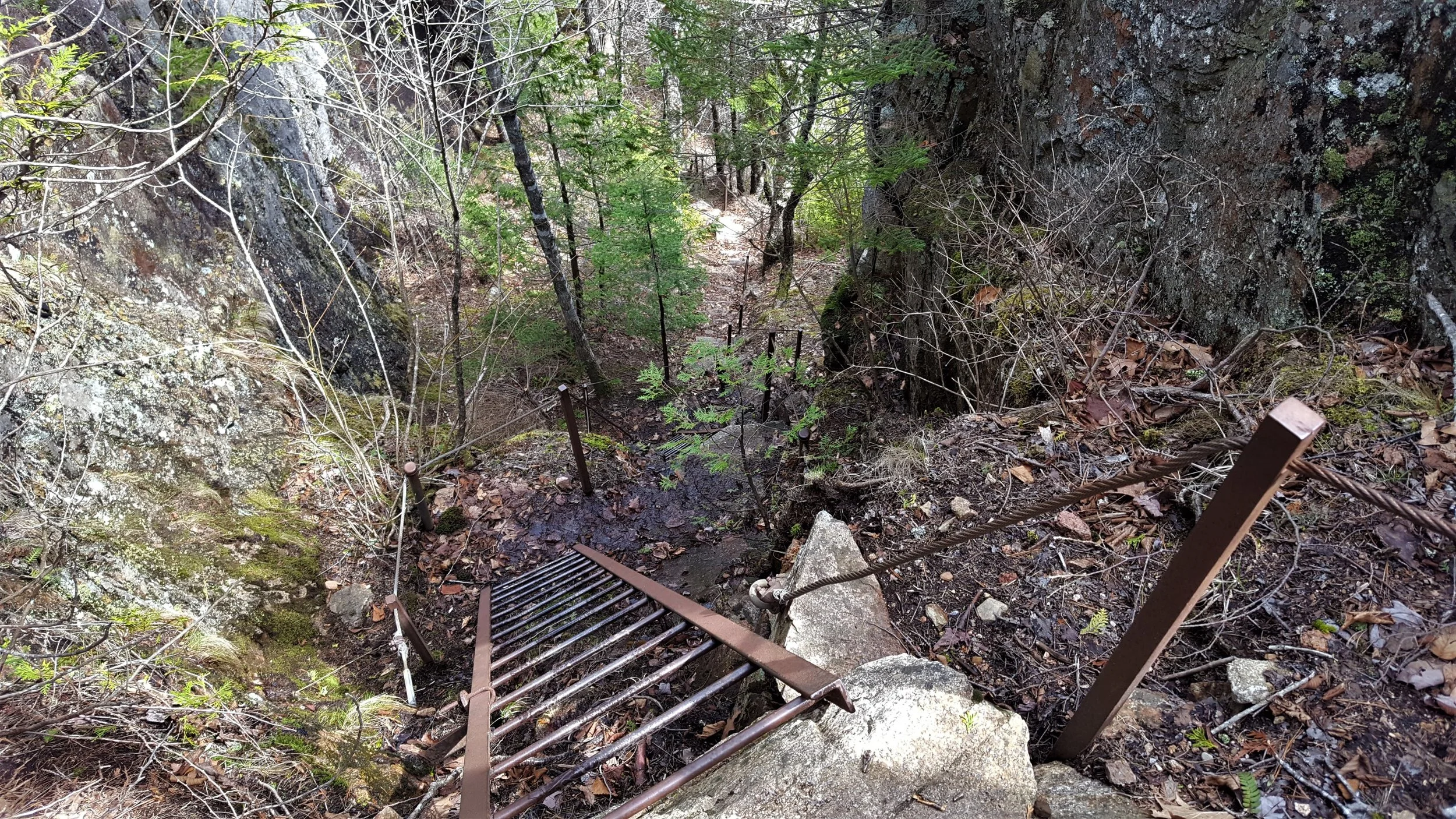 Looking down the third ladder to the top of the second ladder