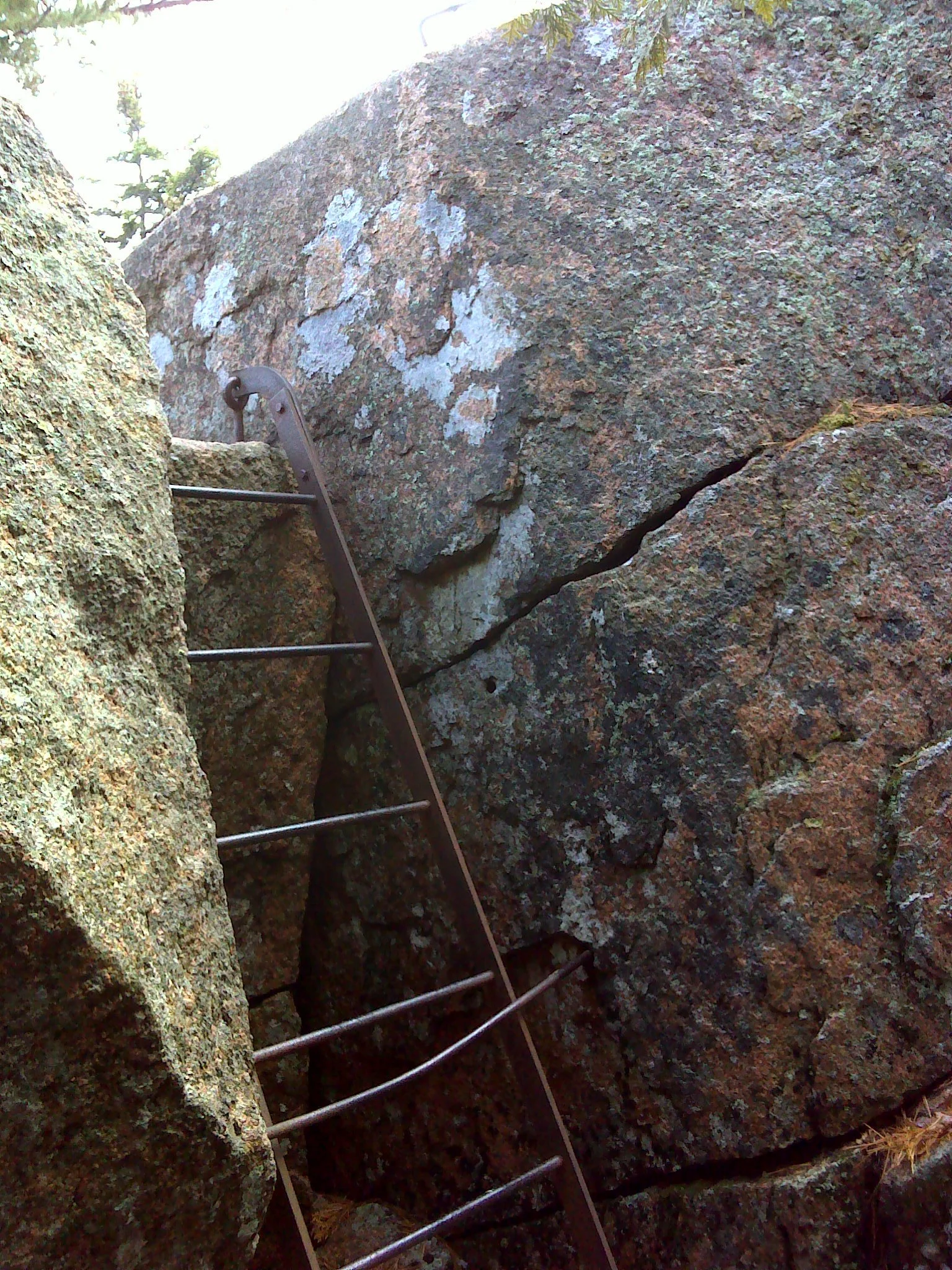 The other ladder