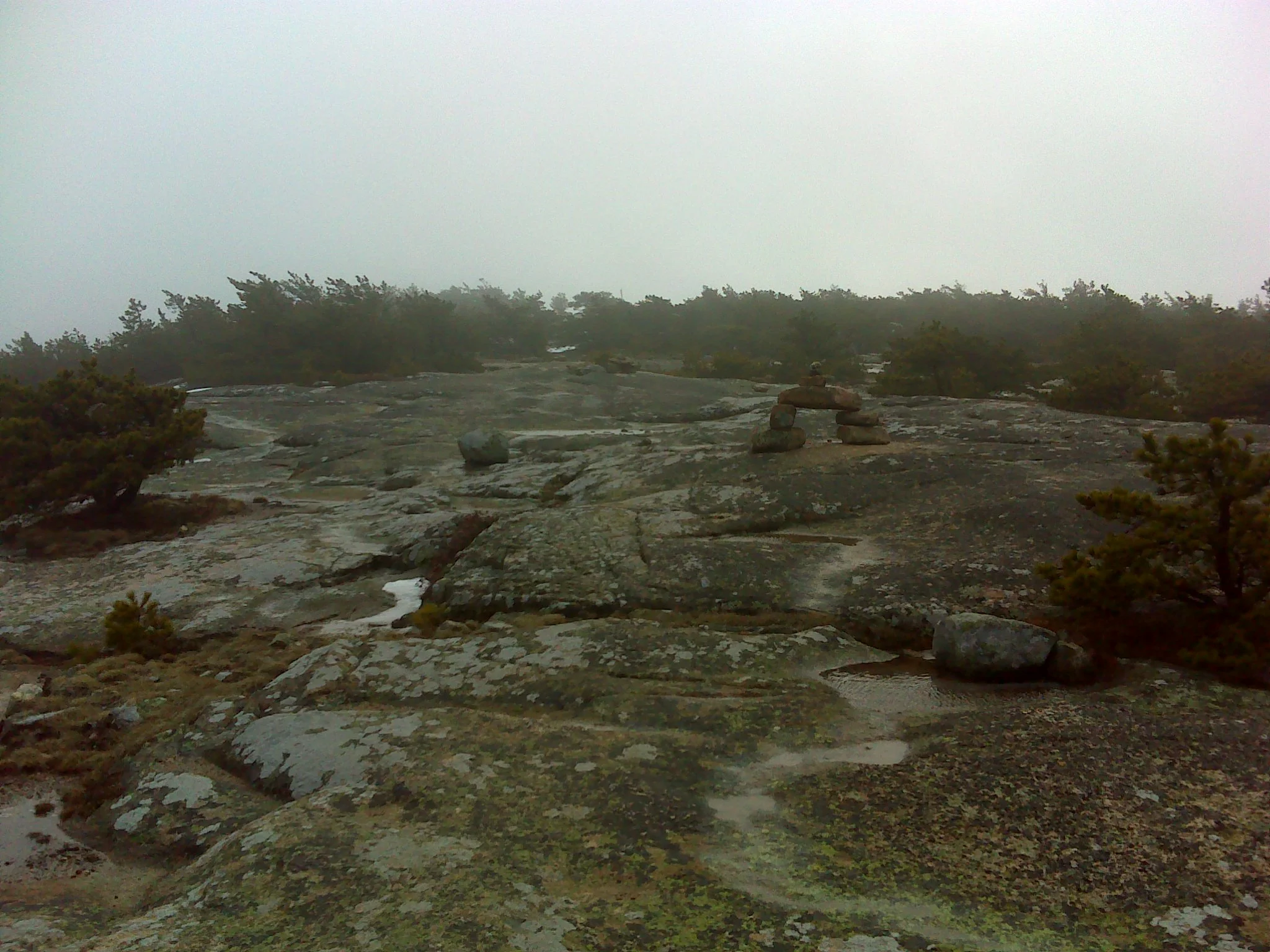 The summit in a winter gale. no views that day