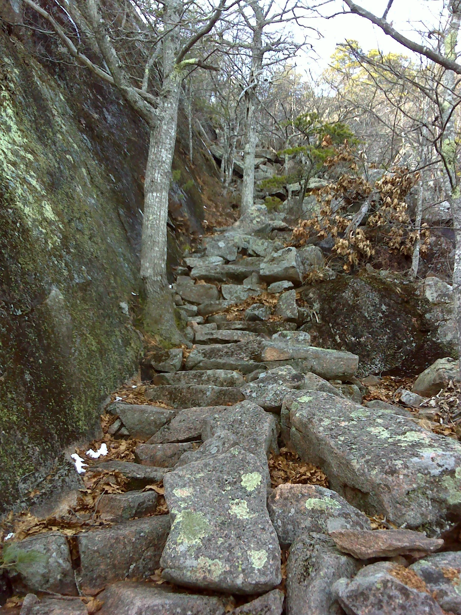 DSC03141.jpg