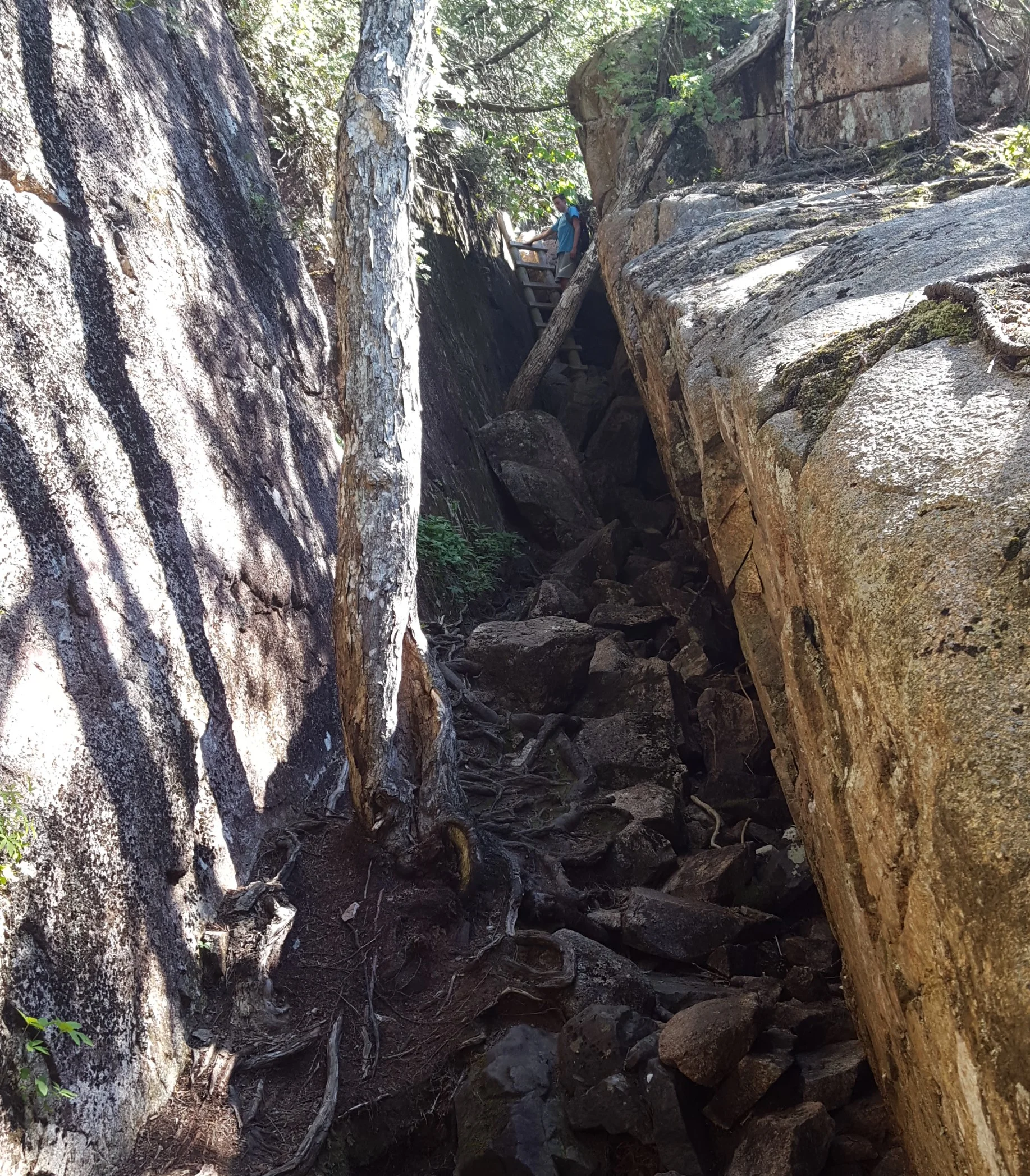 The first ladder