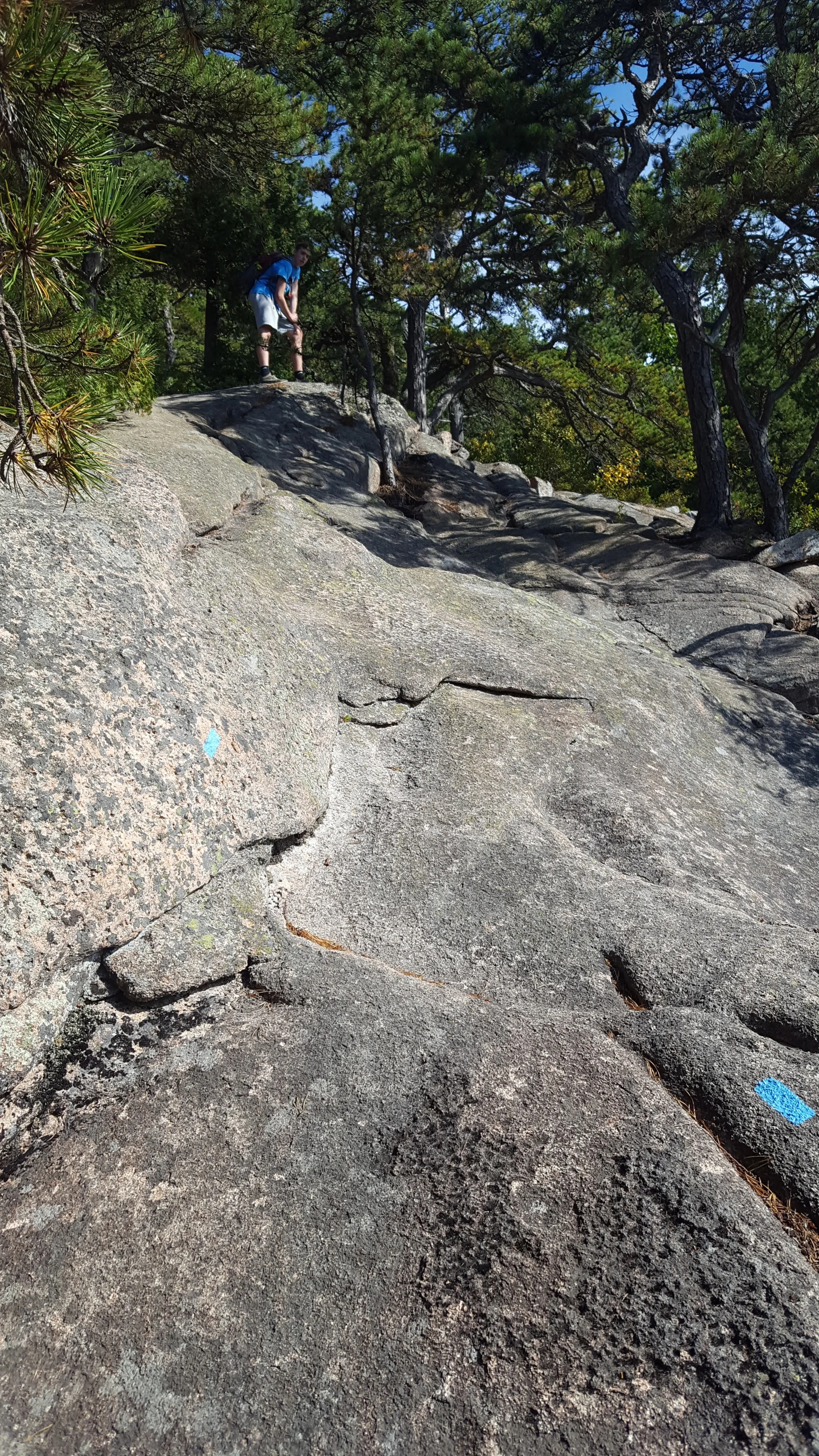 20180908_150004.jpg