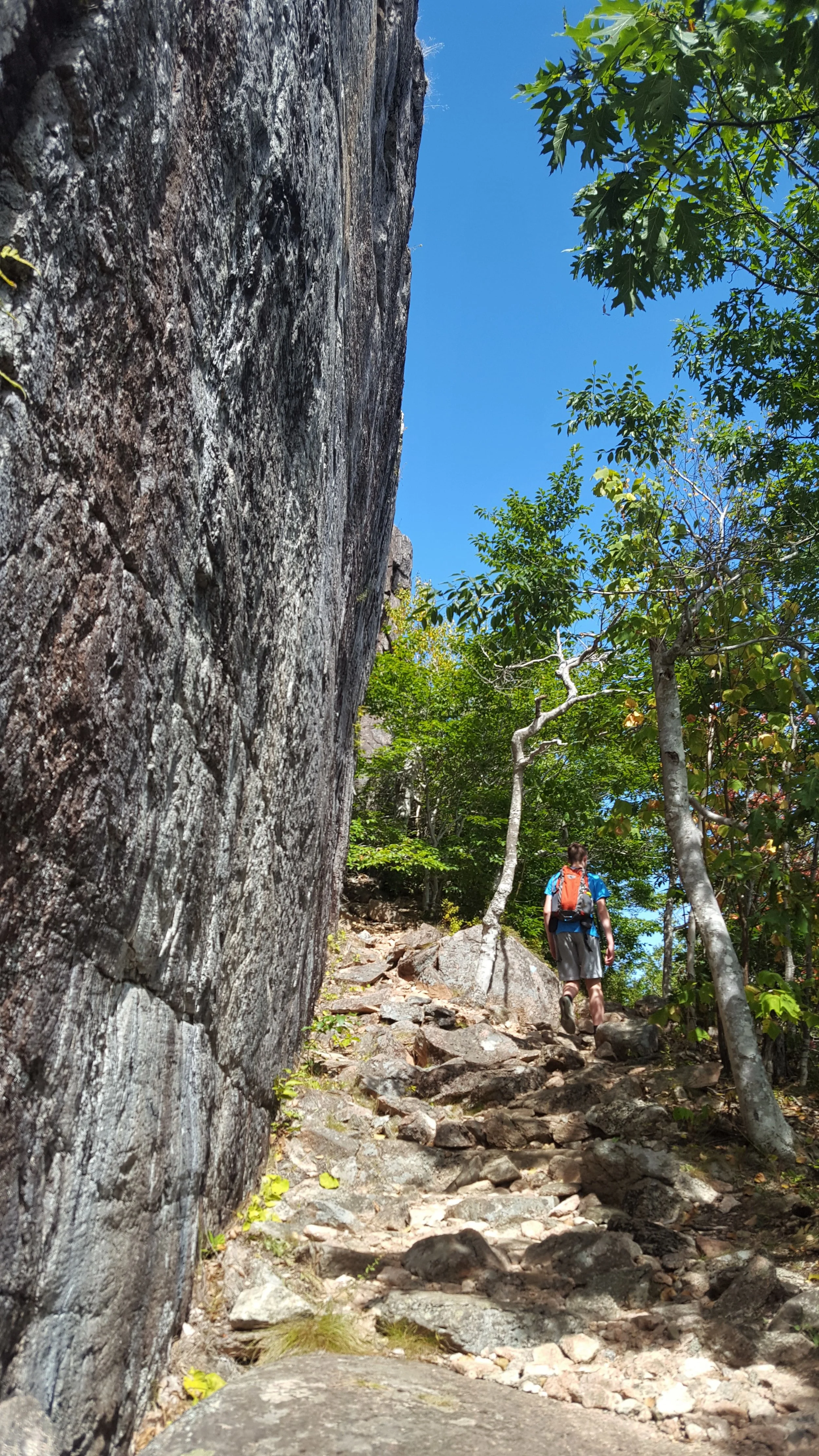 20180908_111550 (2).jpg