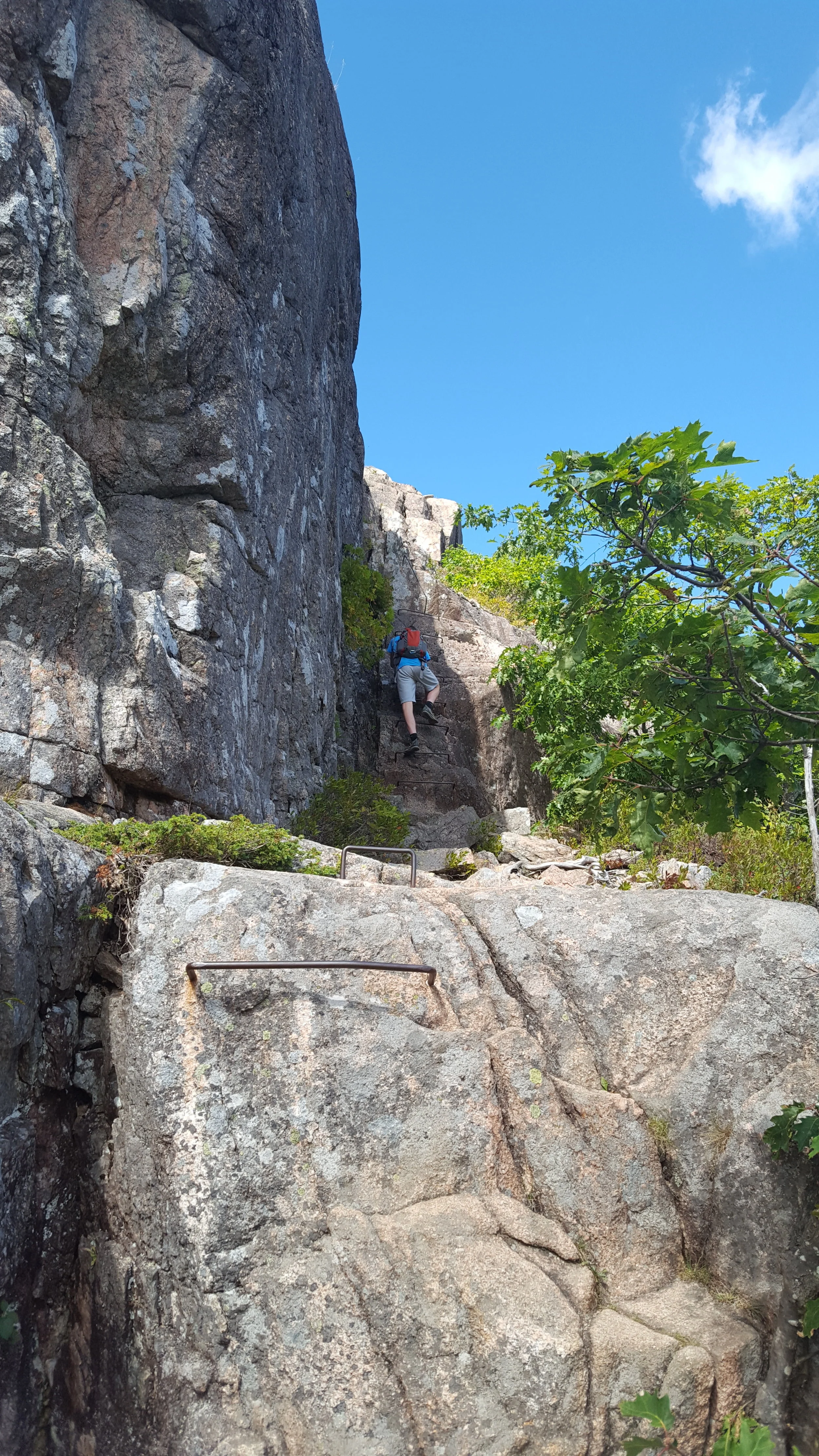 The ladder and rung section near the top