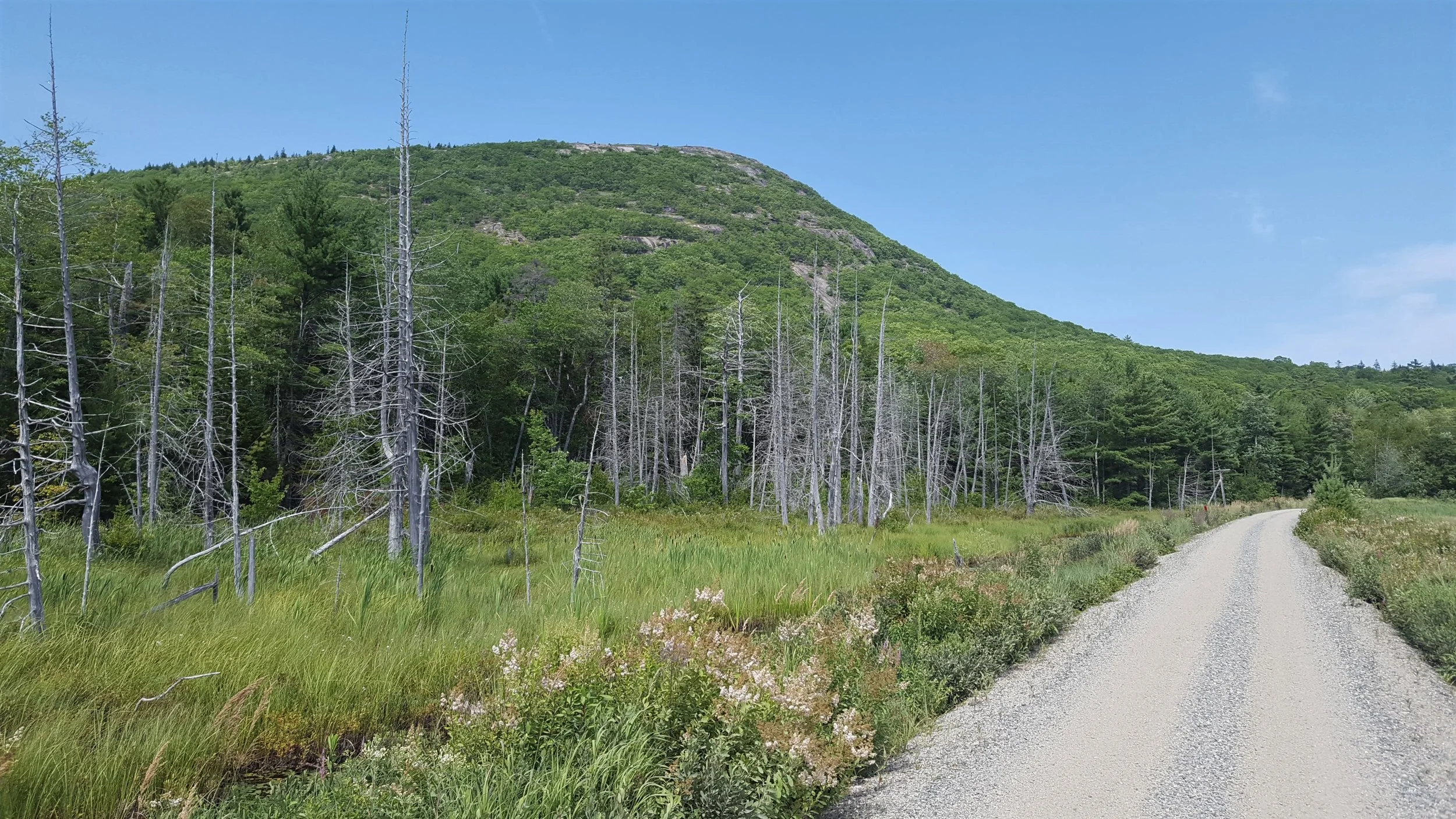 Schoodic Mountain from Downeast Sunrise Trail