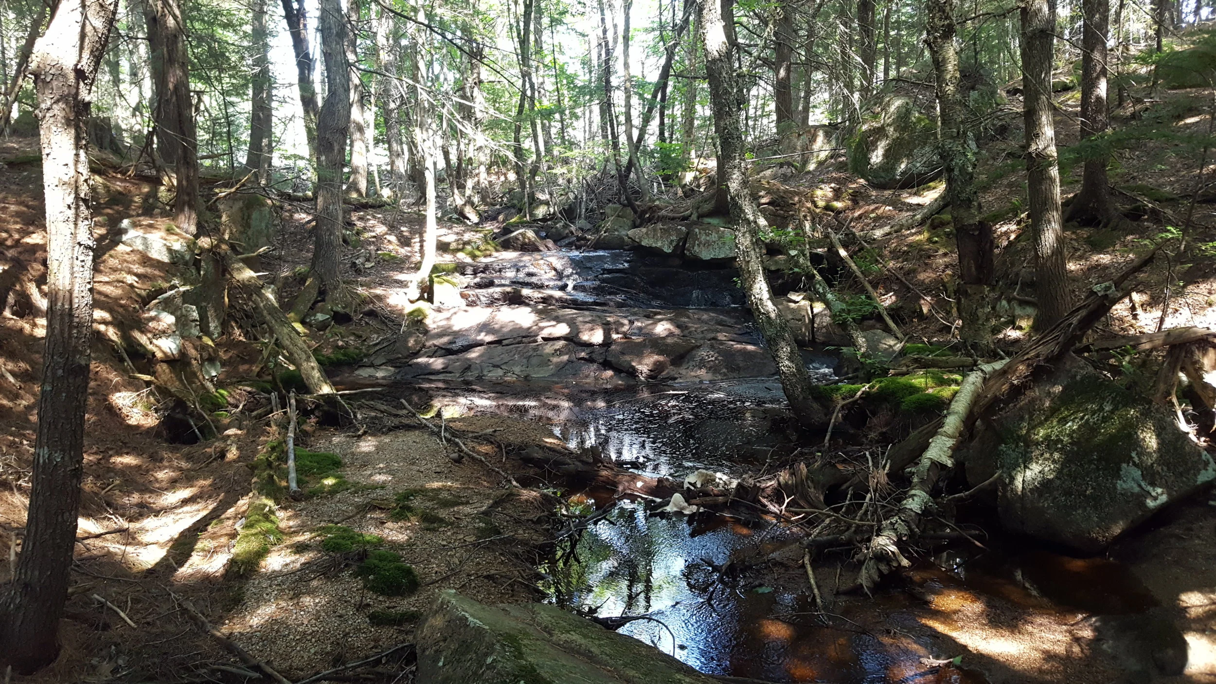 The small waterfall (didn’t make the cut for my Hiking Maine’s Waterfalls)