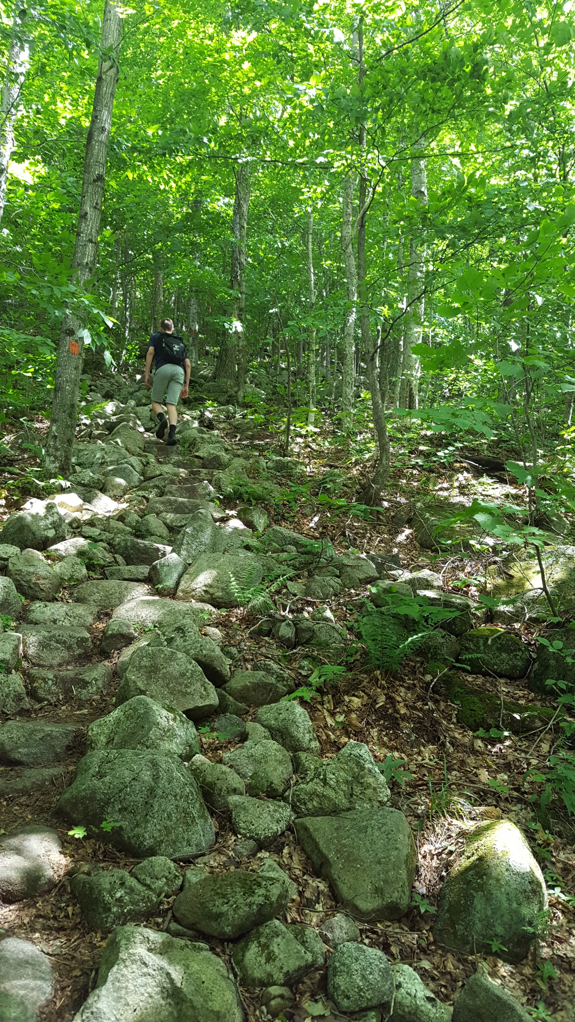 Lots of steps