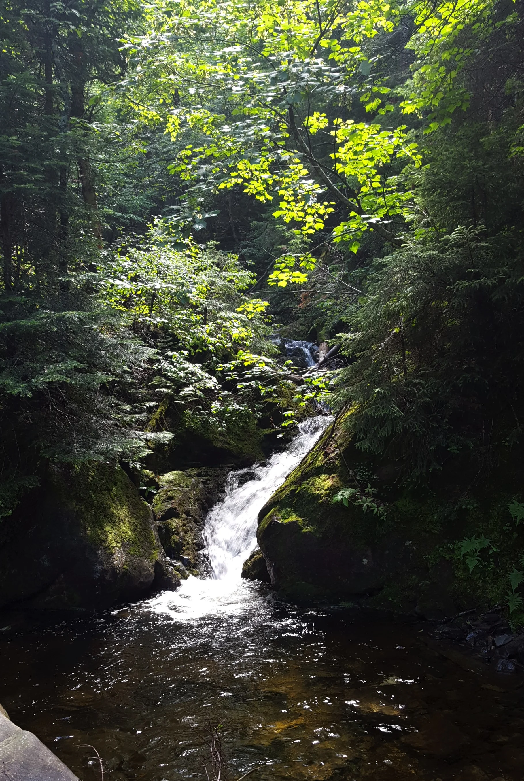 Waterfall in front of Logan Brook lean-to