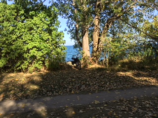 bike on nice fall day.jpeg