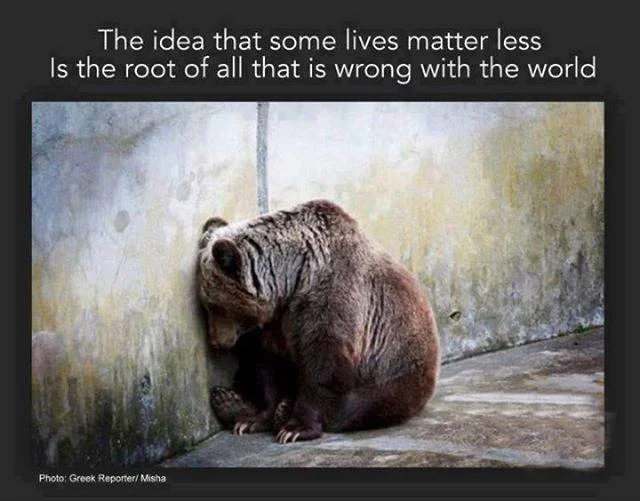 Some lives matter less.jpg