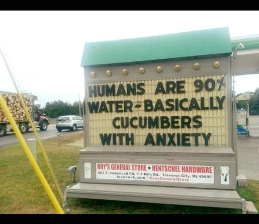 Cucumbers with Anxiety.jpg