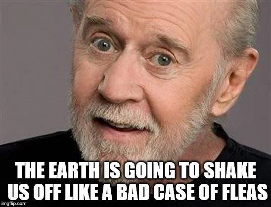 Fleas.jpg