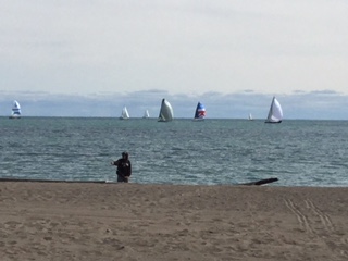 sailboats on a Saturday.jpeg