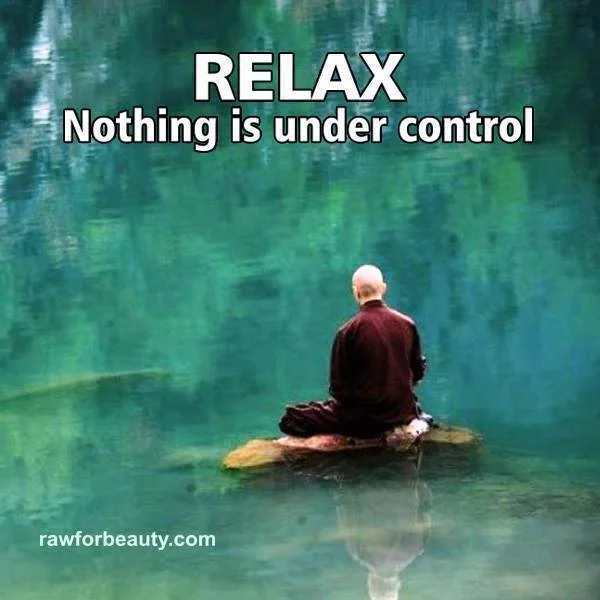 RELAX - nothing is under control.jpg