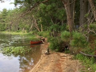 Algonquin Park. My favourite place…