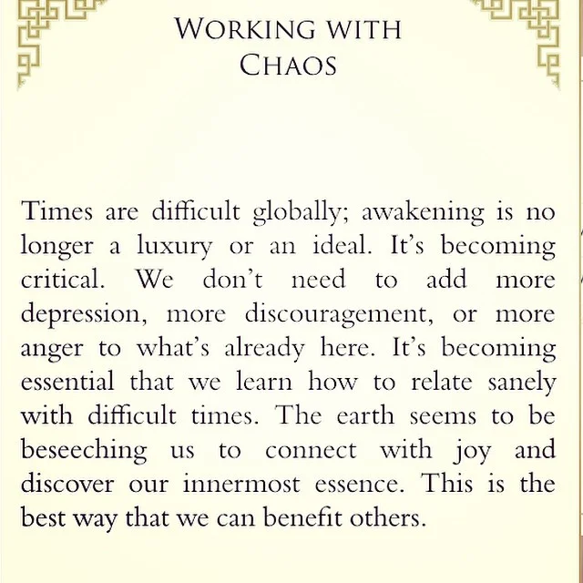 Pema on Chaos.jpg