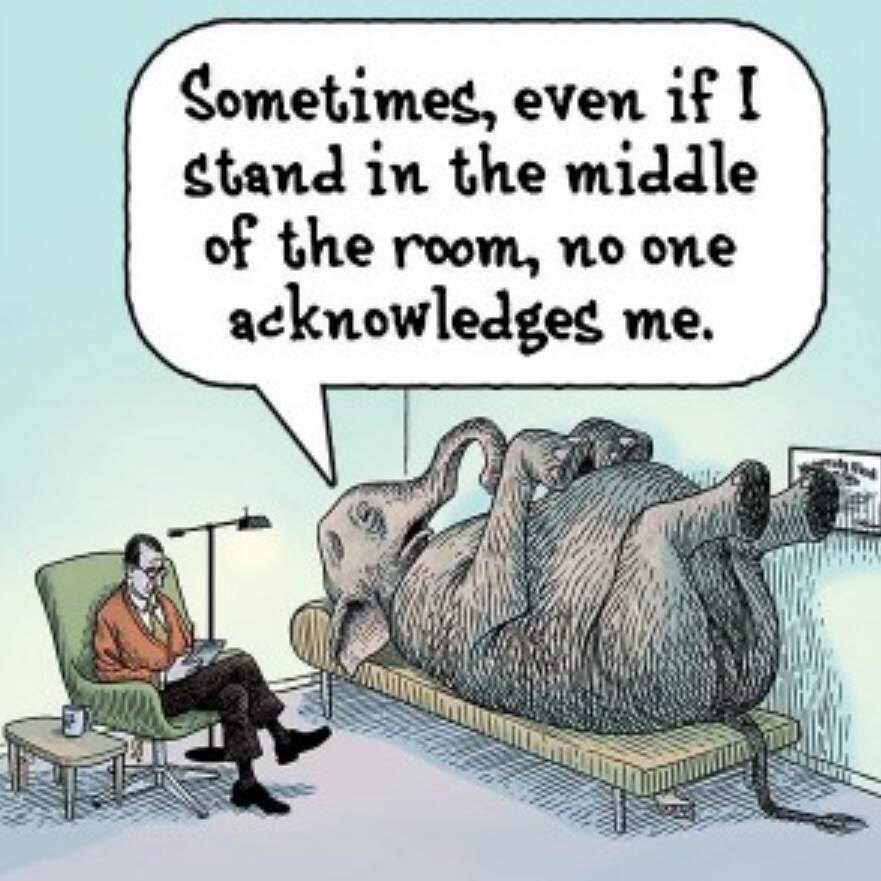 Elephant in the room!.jpeg