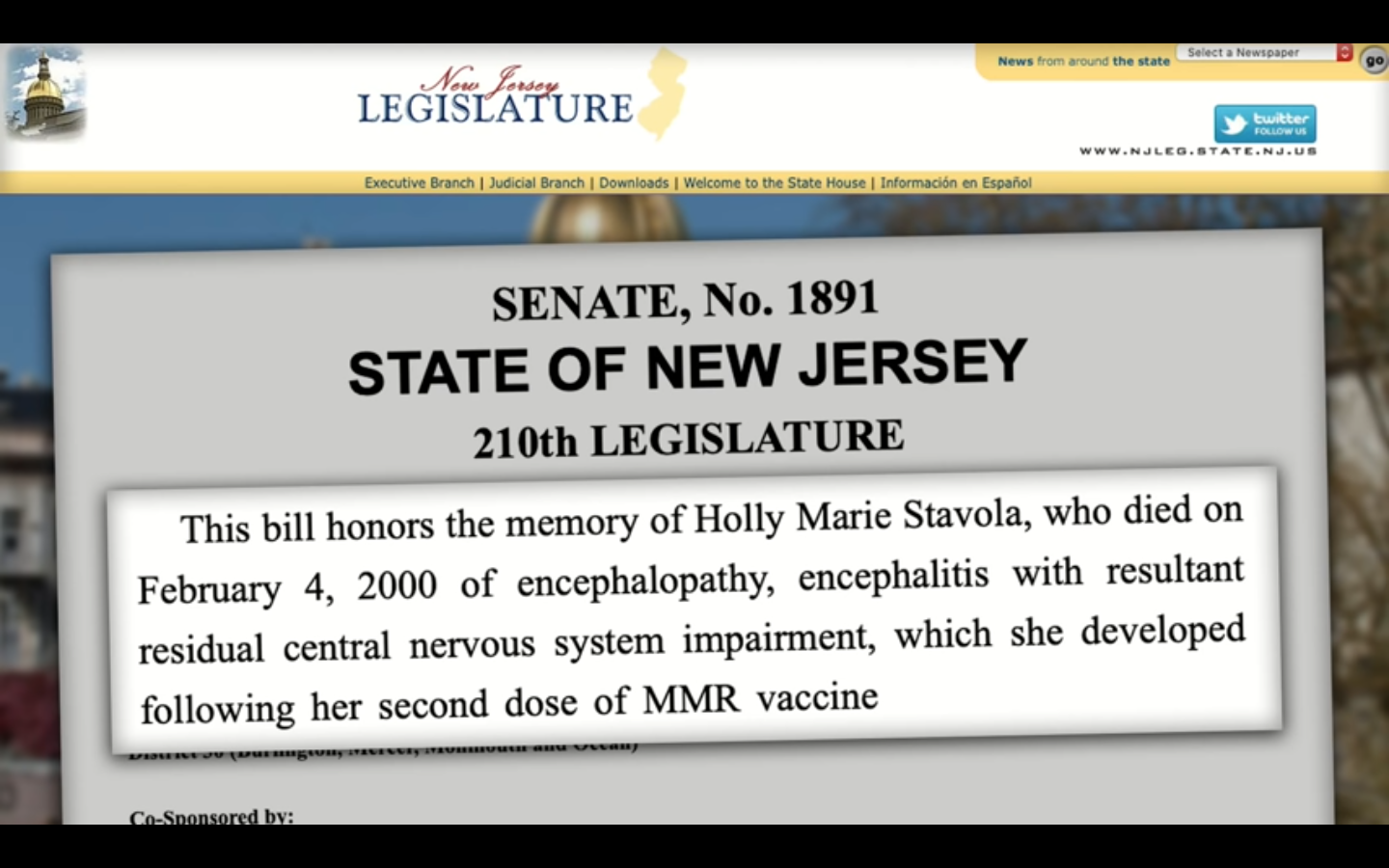 Holly's Law.png