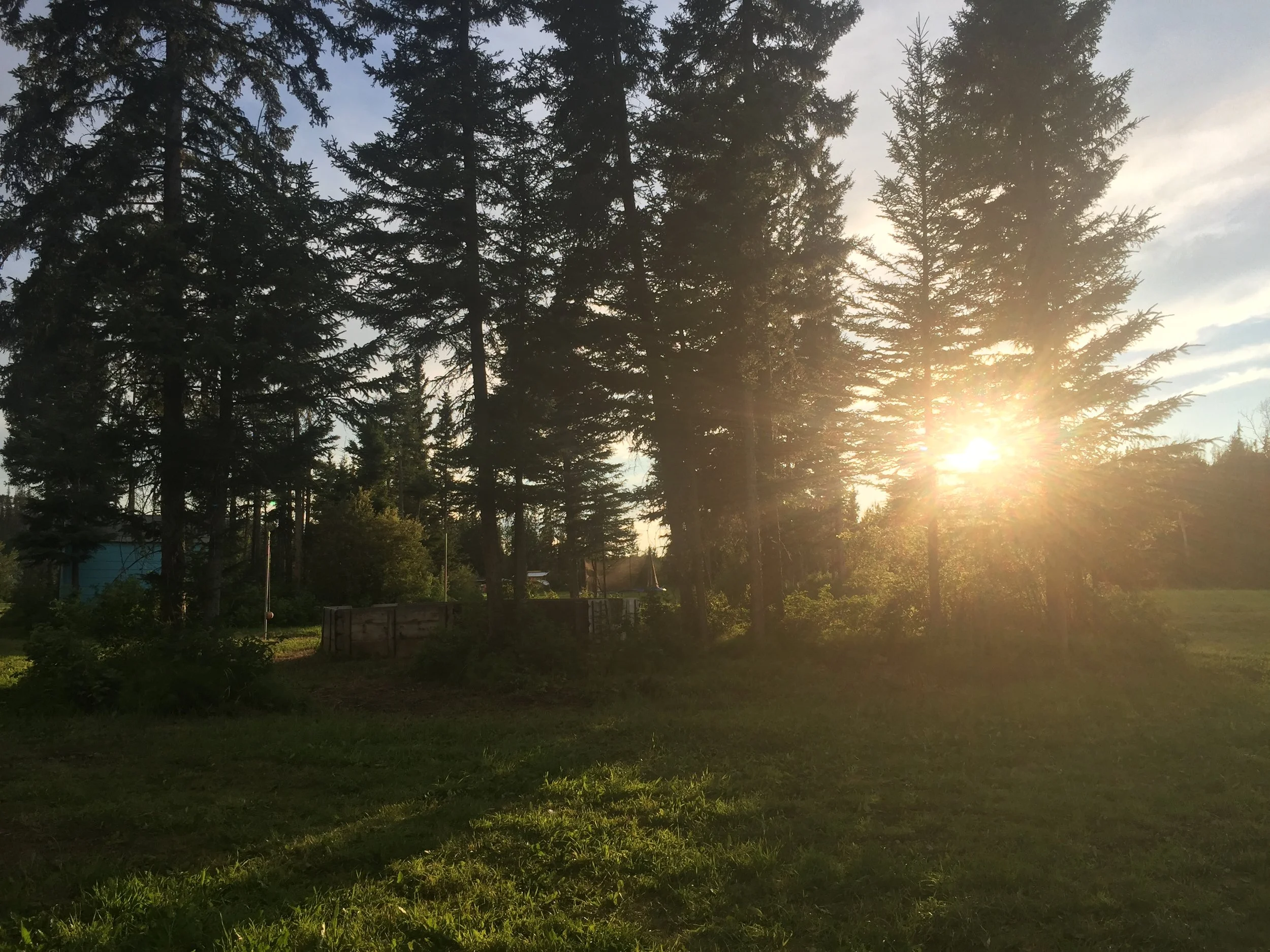Camp Paradise 2018