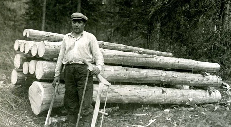 Time to Sharpen the Saw for Boards as Well