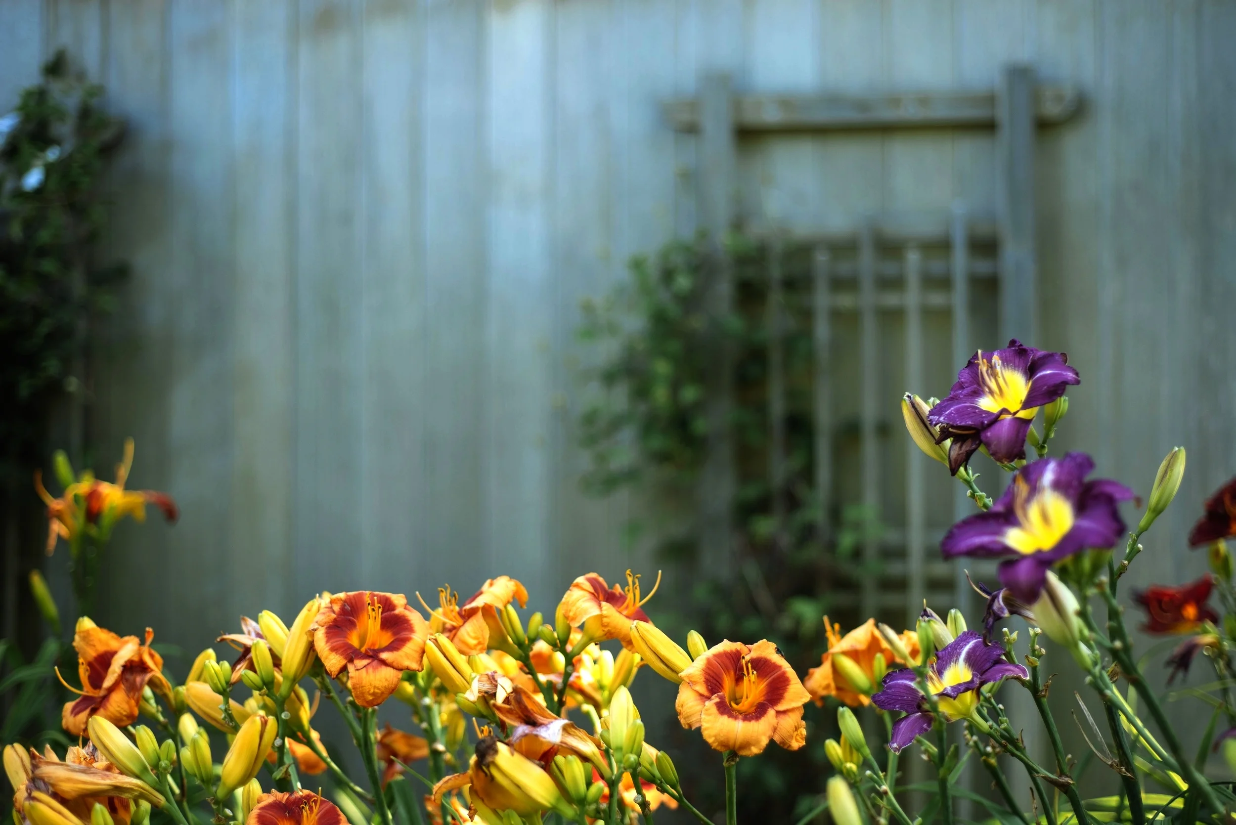 Home page banner.jpeg