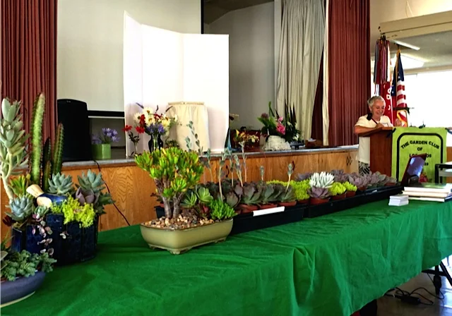 President Pat Ley is all set to commence the June 28, 2016, meeting of The Garden Club of Los Altos featuring Laura Balaoro’s program “Gardening with Succulents in Santa Clara County