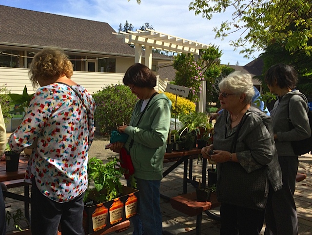 Ellen Chu and Pat Hirschbeck in line to purchase at the plant sale 