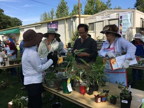 Spring Plant Exchange