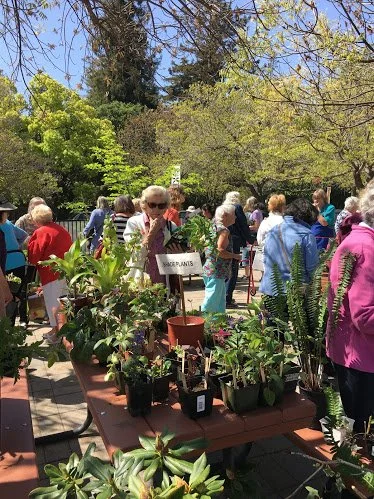 Spring Plant and Bake Sale