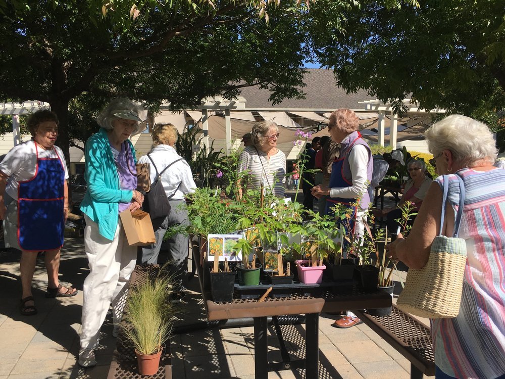 Spring Plant &amp; Bake Sale