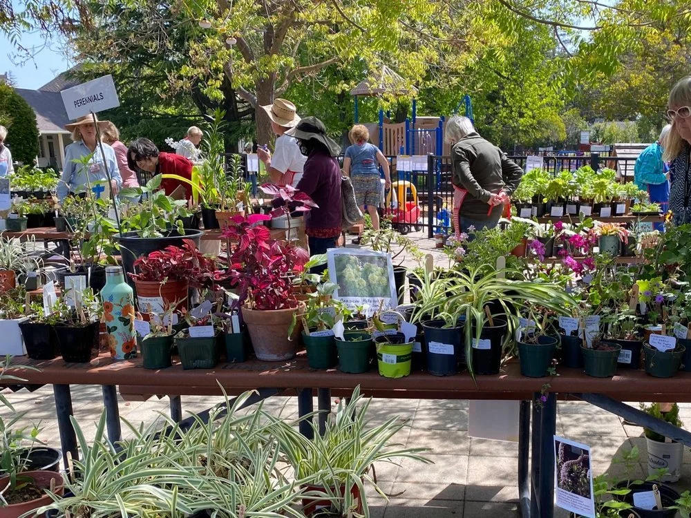 Spring Plant &amp; Bake Sale