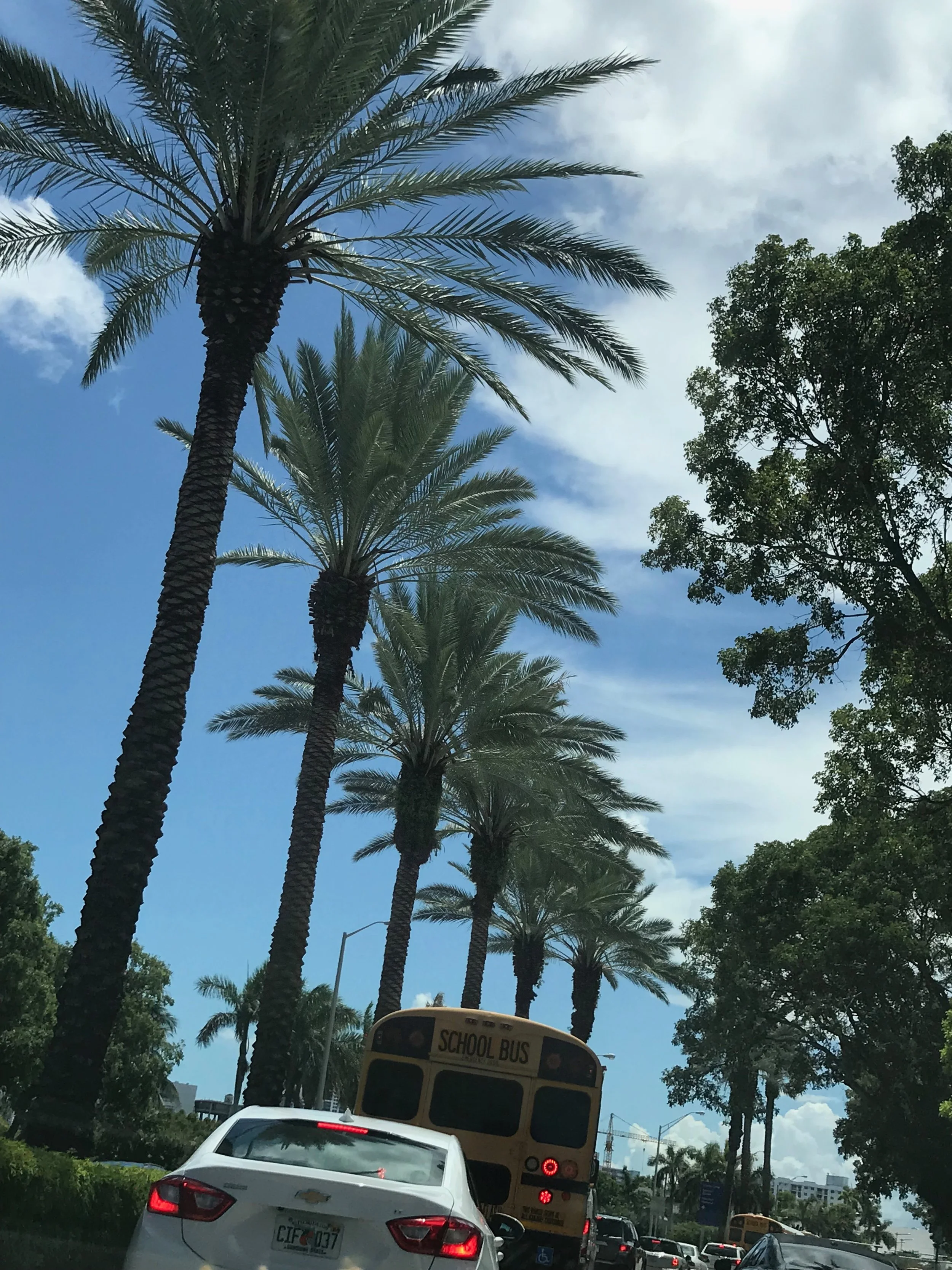 Miami Beach, Florida