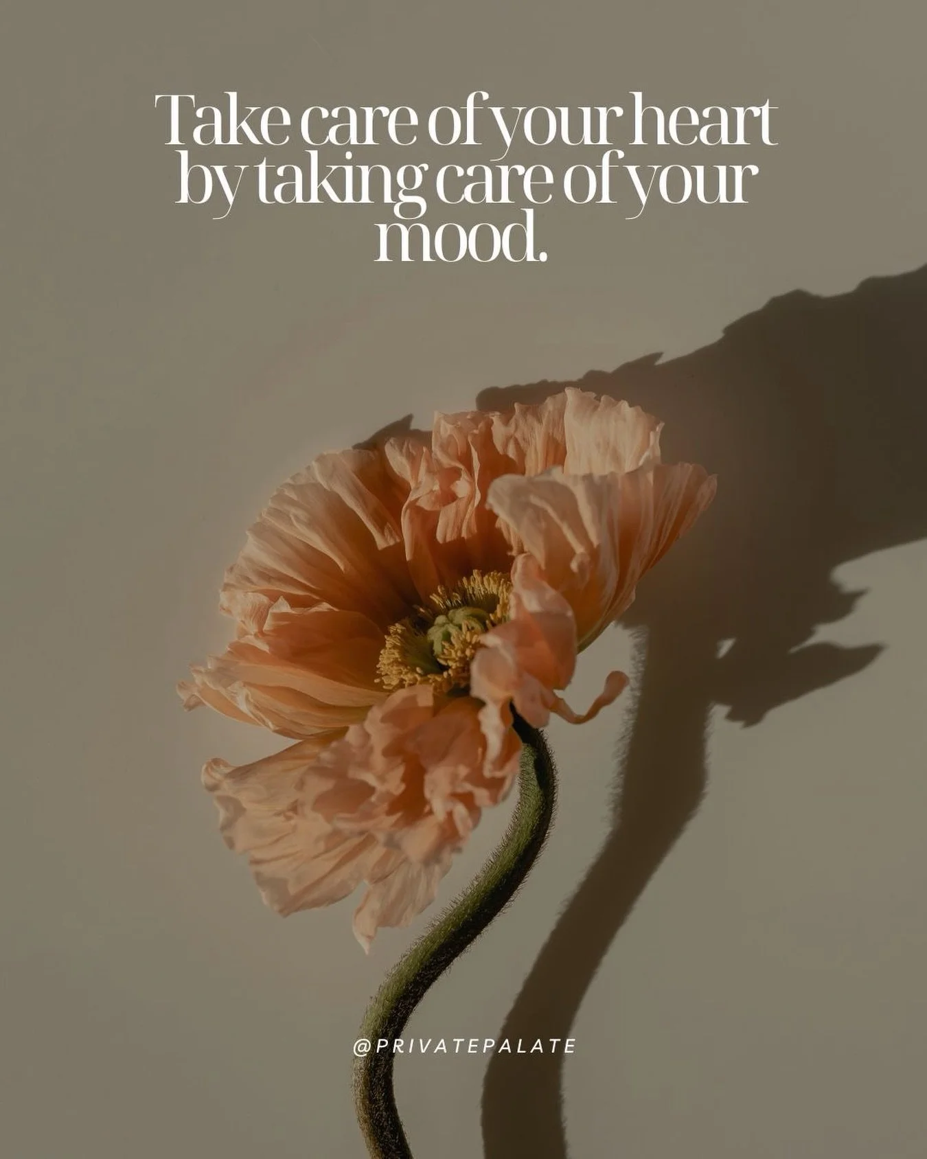 Love isn&rsquo;t only something to give. 

It&rsquo;s something we practice - in how we sleep, how we nourish ourselves, how we speak to others. 

Today feels like a gentle reminder; your mood matters. 💕

#valentinesday #love #nervoussystem #moodfoo