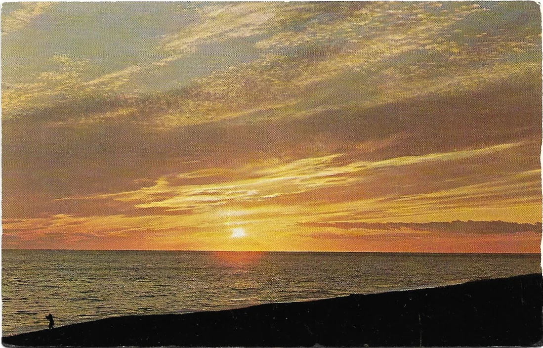 55.jpg