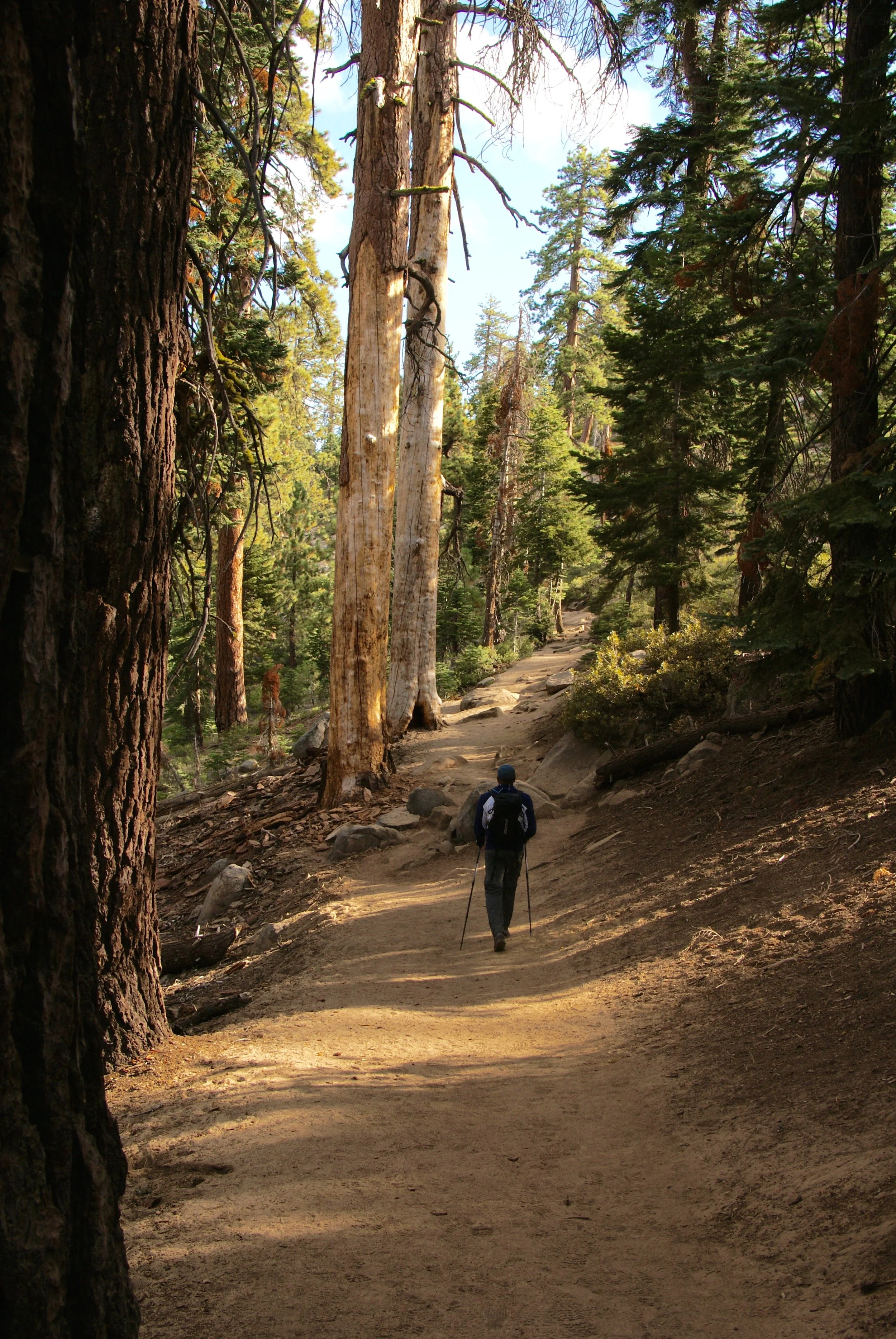 Trail to Sentinel Dome