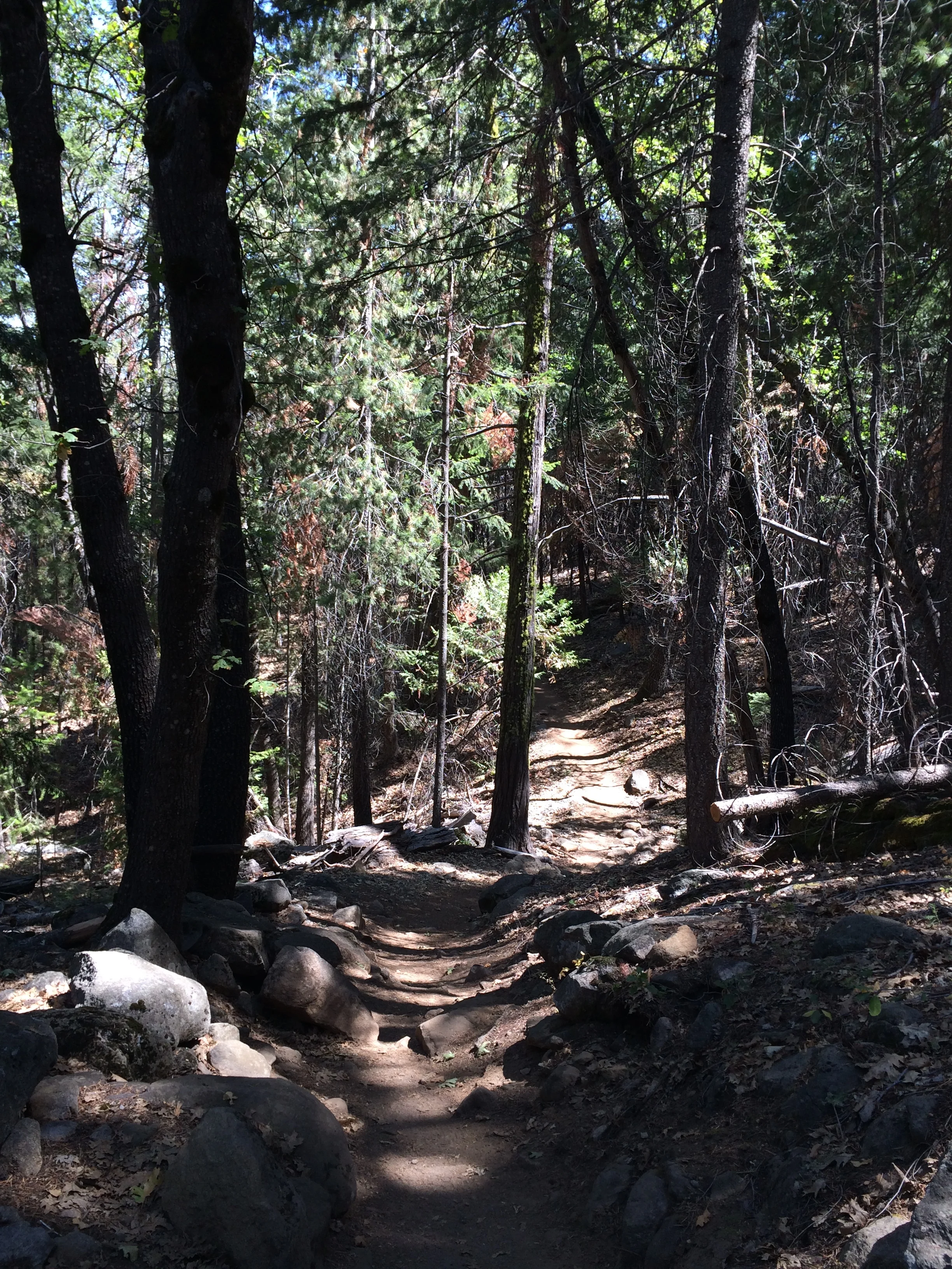  With almost 1,000 feet of elevation gain, and rocky terrain, the trail is steep for most of the ascent. Luckily the distance isn't too great, but you will want to stop to catch your breath and check out the views along the way. 