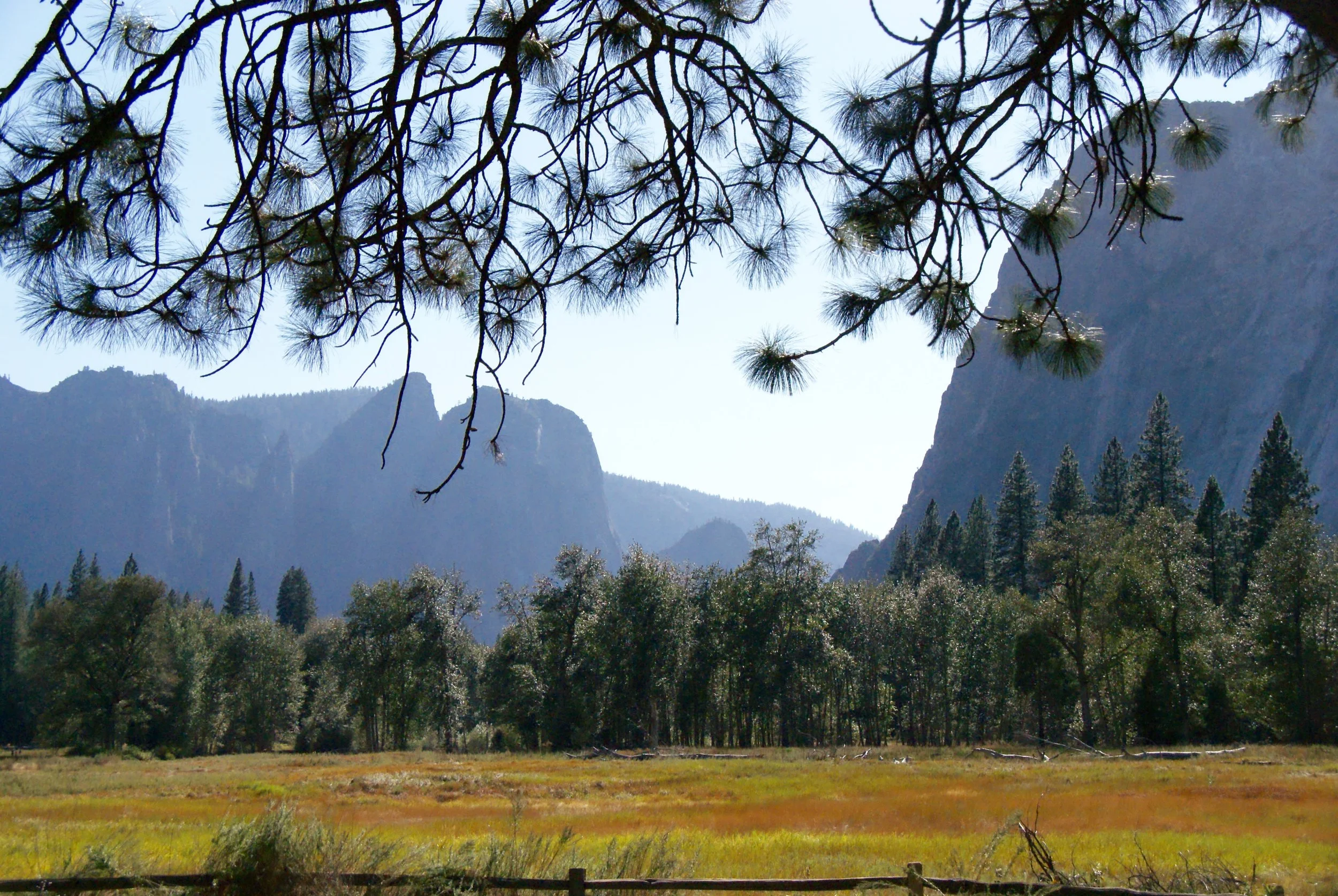 Cook's Meadow