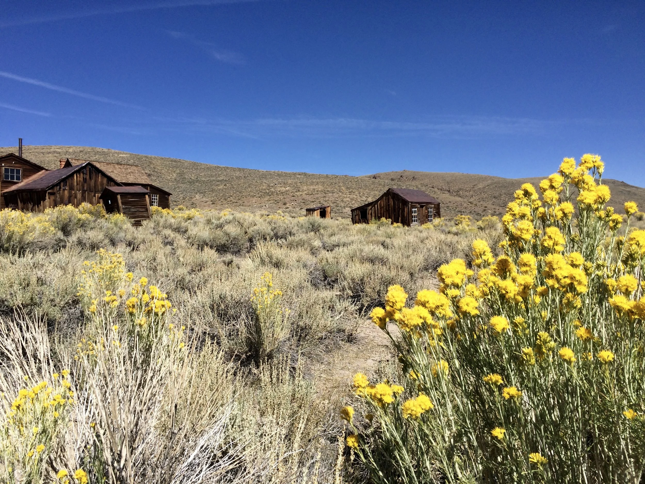 Bodie Ghost Town