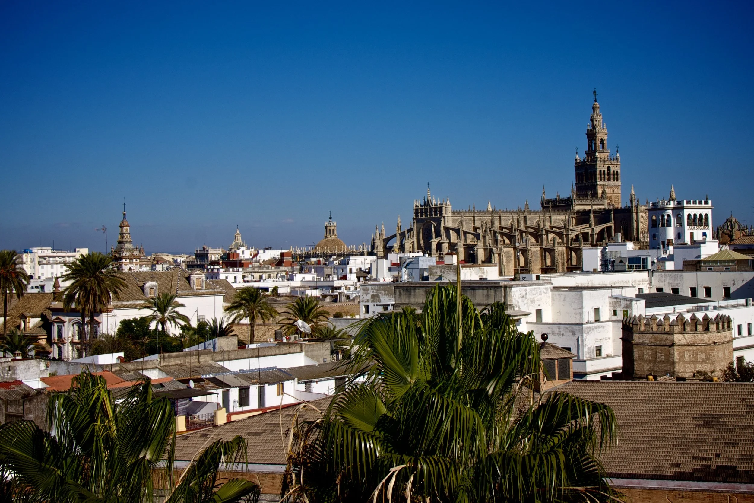 Cathedral Views from Triana