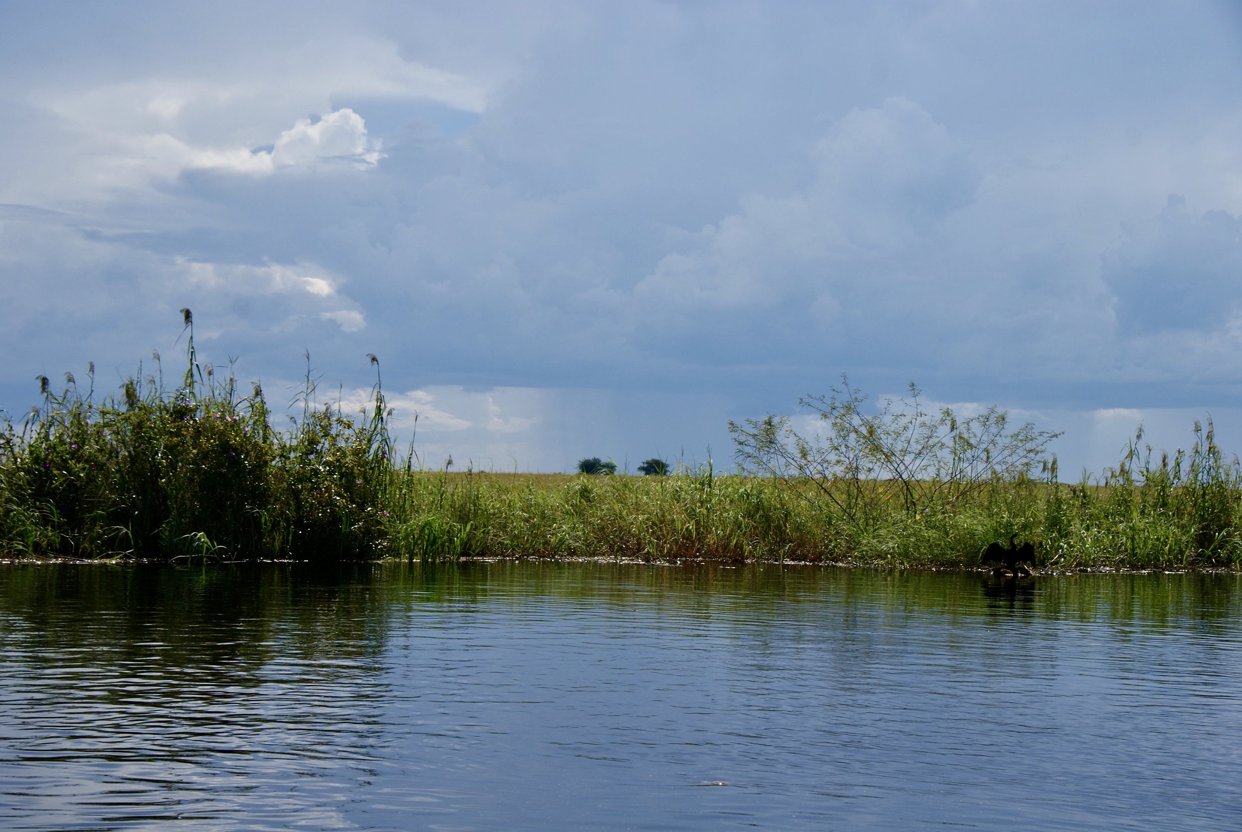 Rains over Namibia, Seen from the Chobe River
