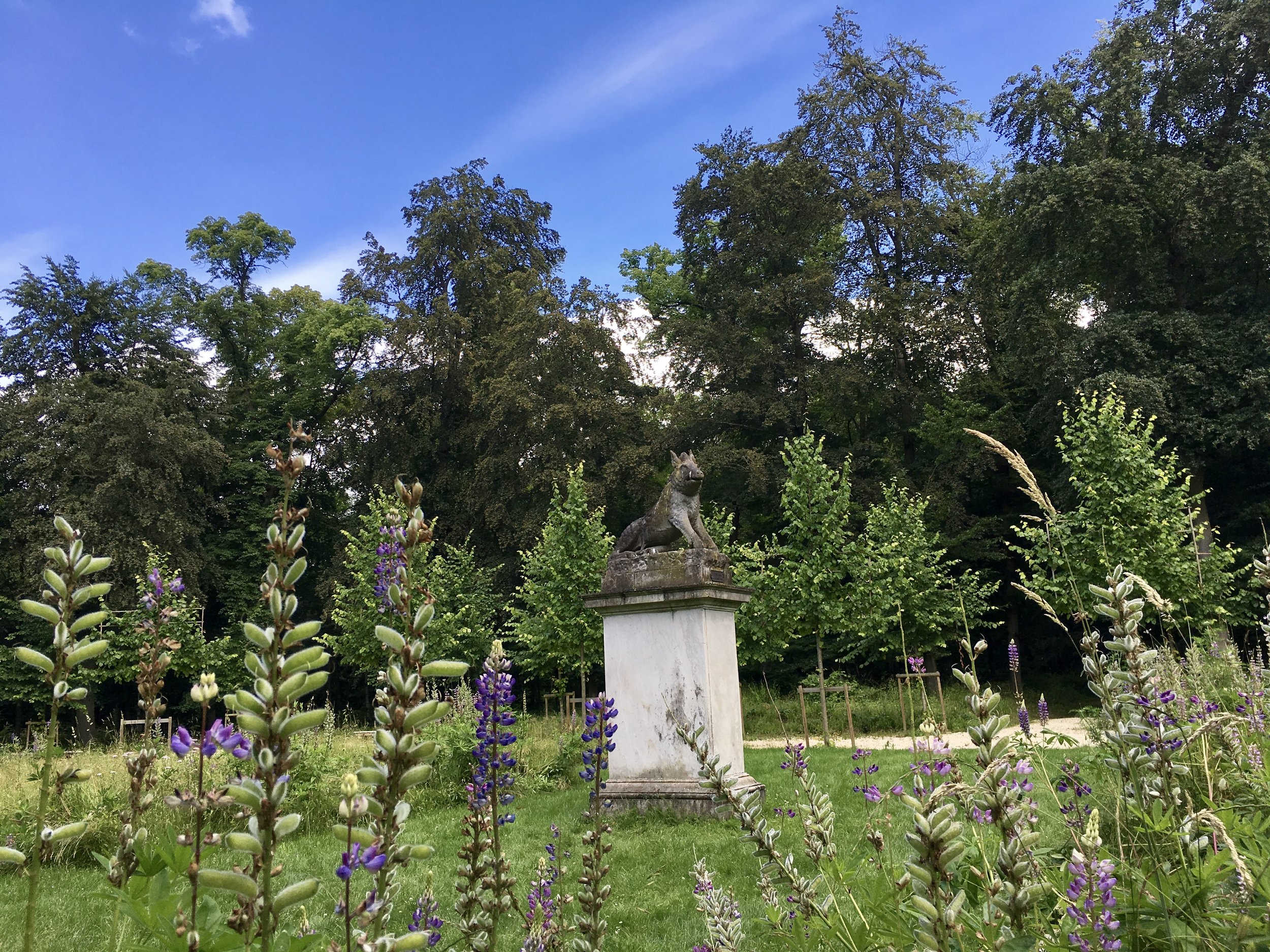 Chantilly Park