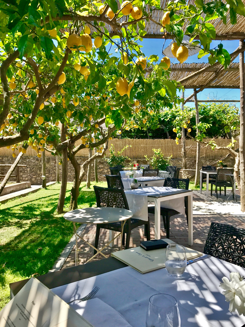 Dining Under a Lemon Grove in Anacapri on the island of Capri