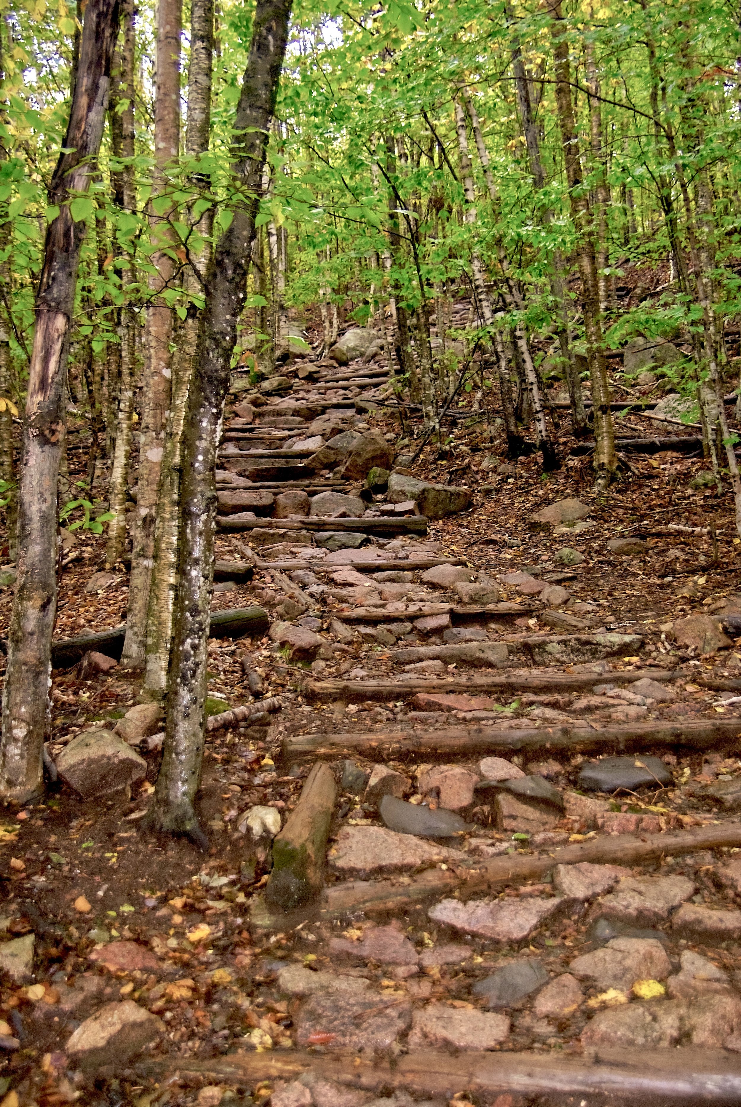 Acadia Trail
